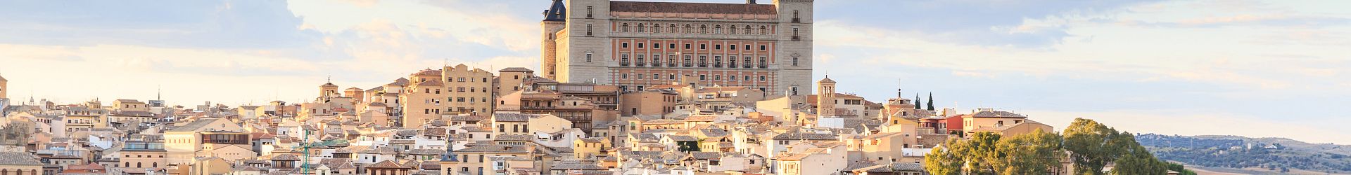 Avviso legale di Hotel San Juan de los Reyes